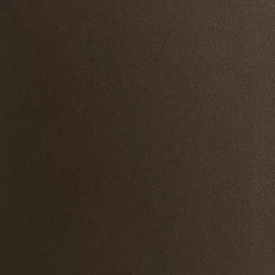 Porsche Brown S-309