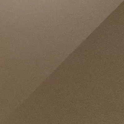 Metallic Beige L-305