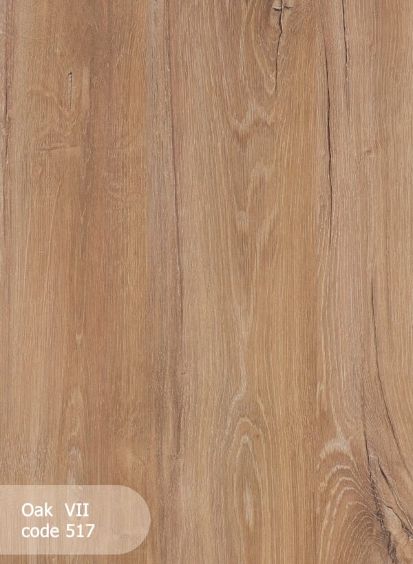 Oak viii 517