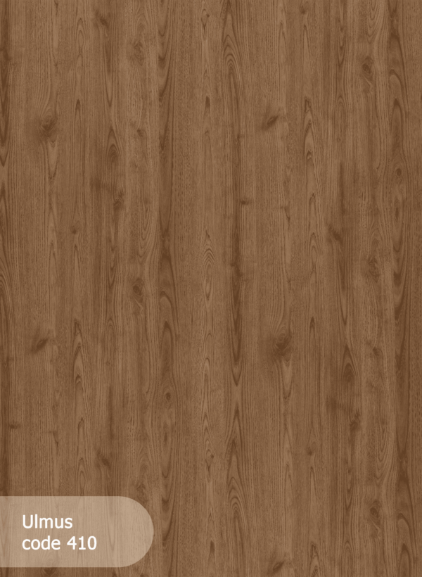 Ulmus 410