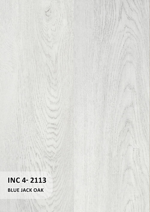 BLUE JACK OAK