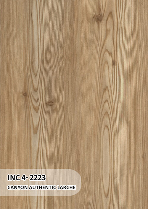 CANYONE AUTHENTIC LARCHE