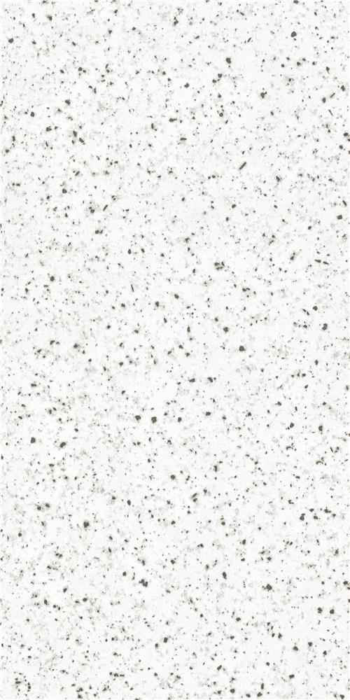 Sandy White                  