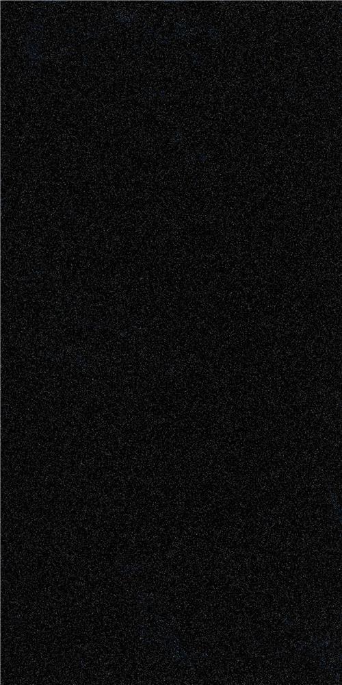 Black Pearl1                  