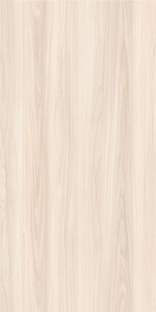 California Elm                  