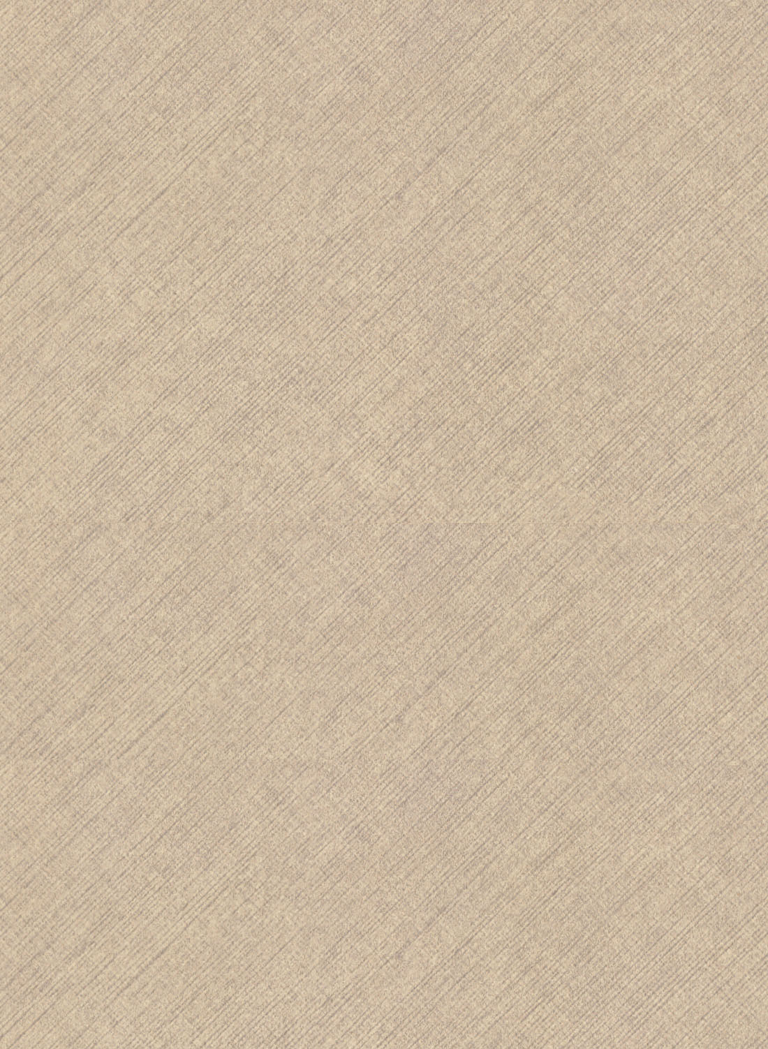FASTONI 2