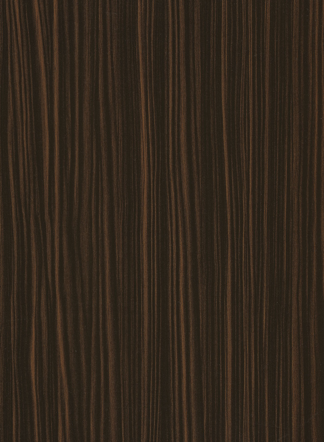 ZEBRANO 1