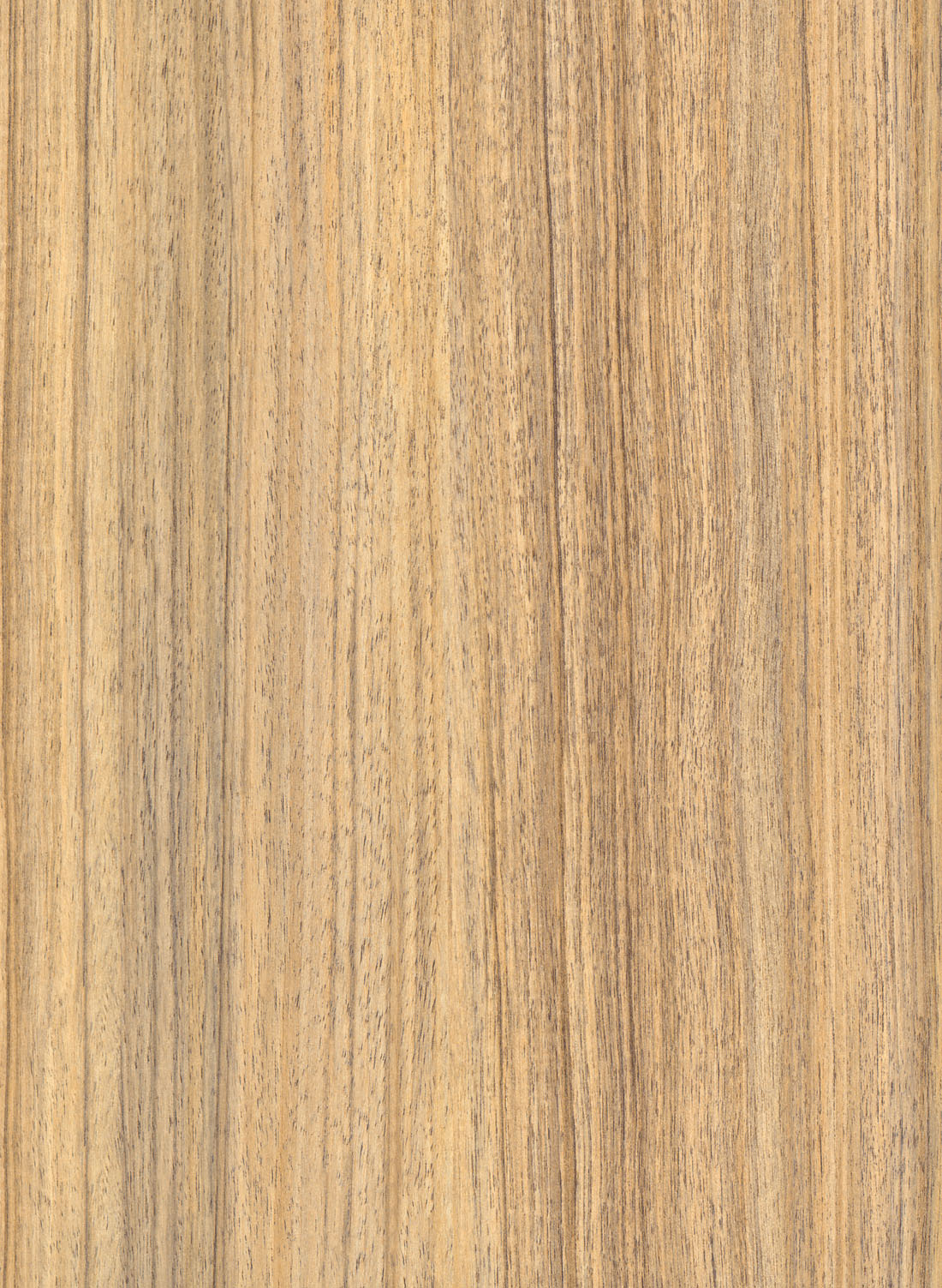  Code: 352