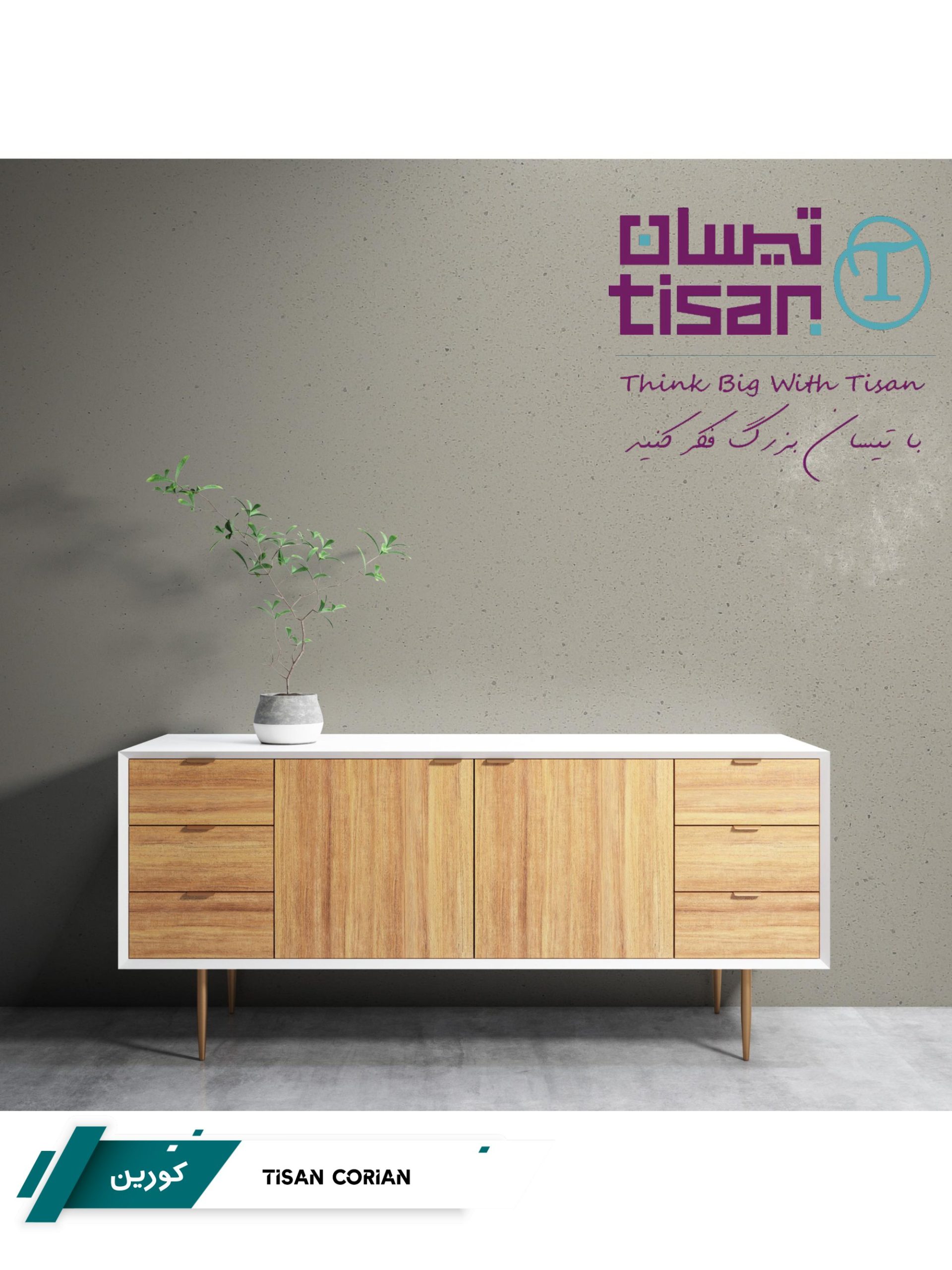 TISAN 2-01			