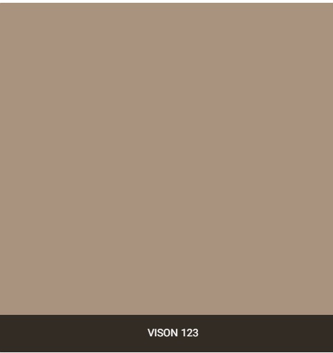 vison