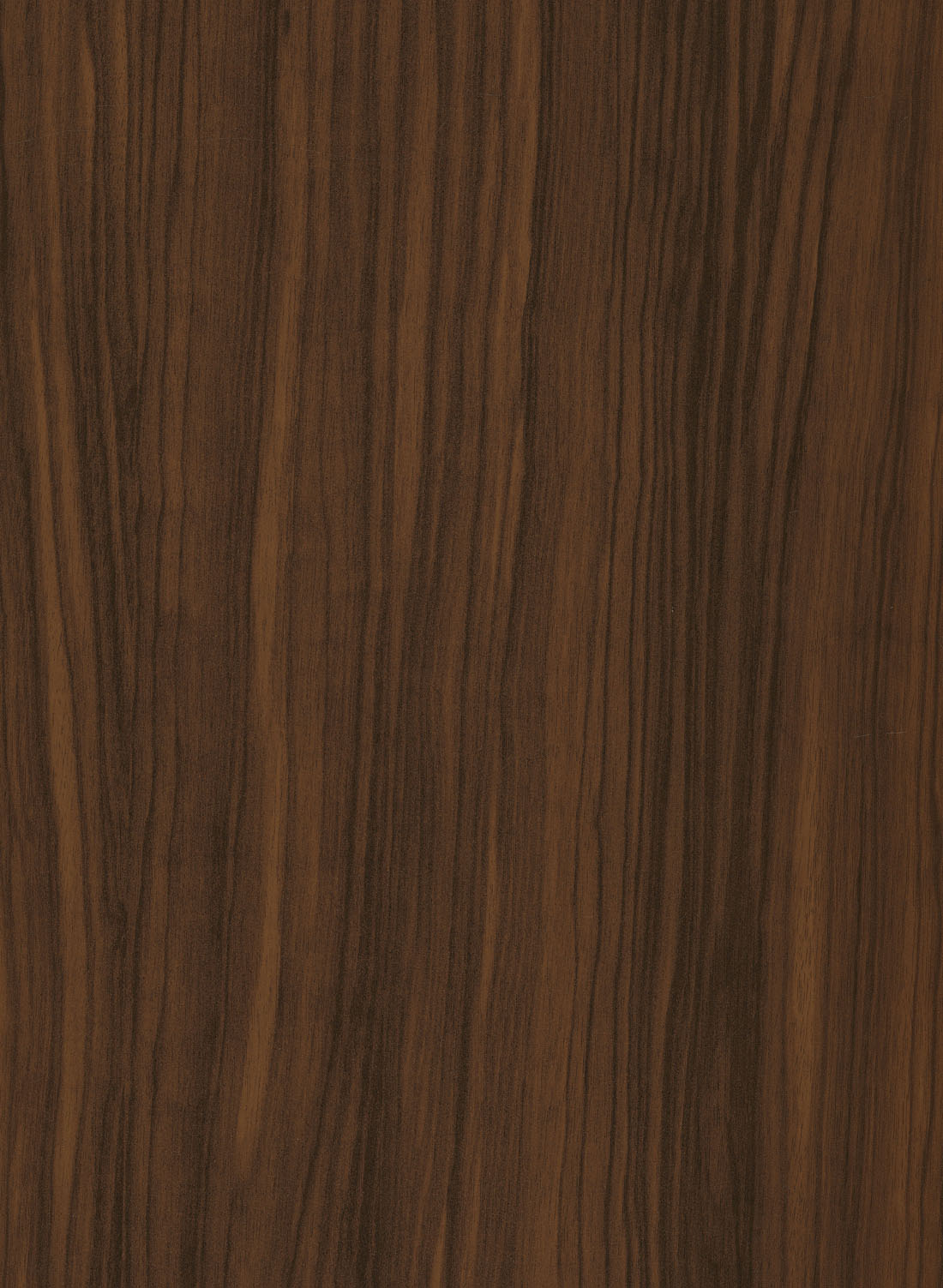 POLY SANDER 1