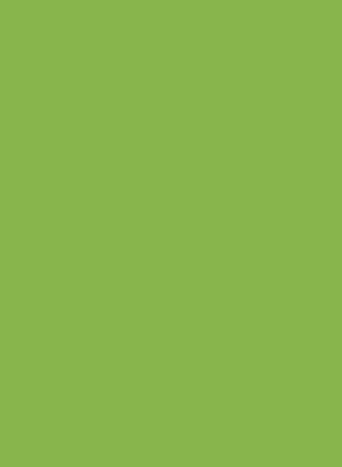 NOGHTEH GREEN