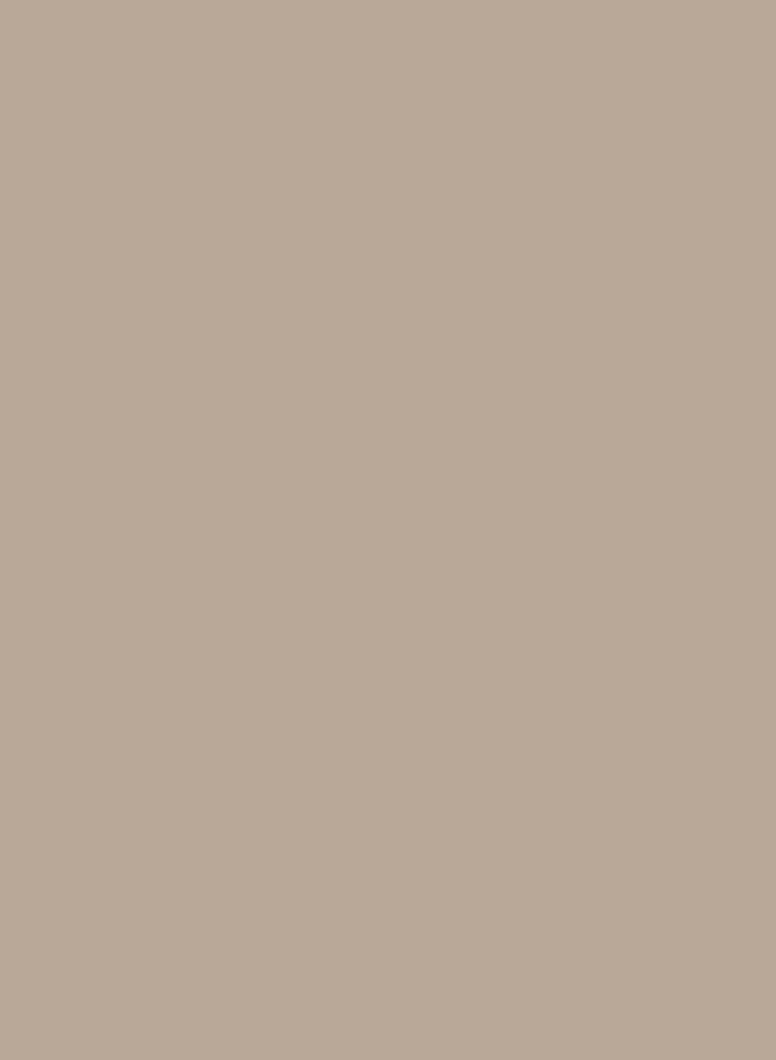 CHAMPAGNE METALLIC