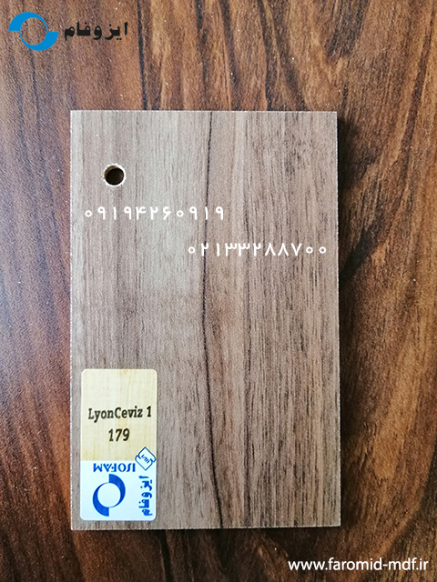 LyonCeviz1